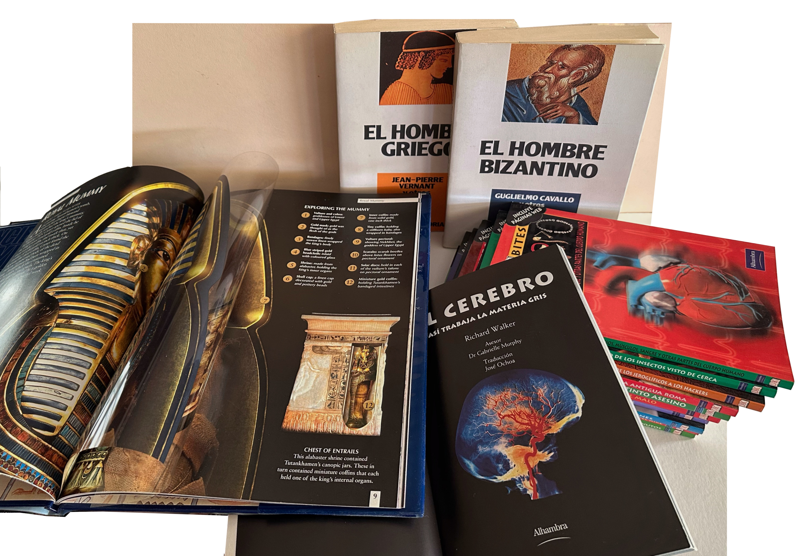 Traducciones por José Ochoa